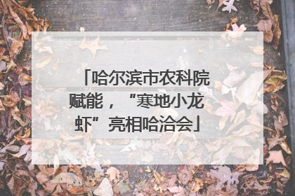 哈尔滨市农科院赋能，“寒地小龙虾”亮相哈洽会