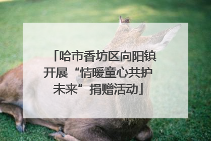 哈市香坊区向阳镇开展“情暖童心共护未来”捐赠活动