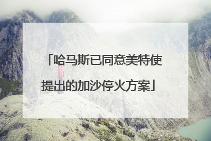 哈马斯已同意美特使提出的加沙停火方案