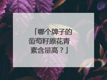 哪个牌子的葡萄籽原花青素含量高？