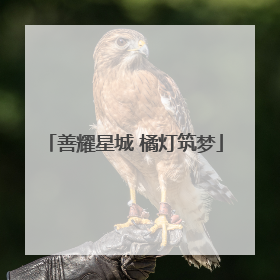善耀星城 橘灯筑梦
