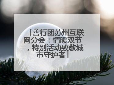 善行团苏州互联网分会：情暖双节，特别活动致敬城市守护者