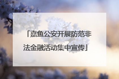 嘉鱼公安开展防范非法金融活动集中宣传