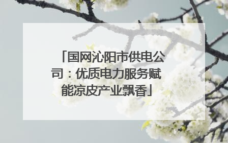 国网沁阳市供电公司：优质电力服务赋能凉皮产业飘香