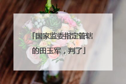 国家监委指定管辖的田玉军，判了