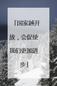 国家越开放，会促使我们更加进步
