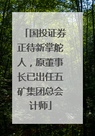 国投证券正待新掌舵人，原董事长已出任五矿集团总会计师