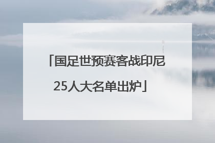国足世预赛客战印尼25人大名单出炉