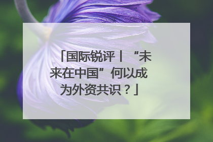国际锐评丨“未来在中国”何以成为外资共识？