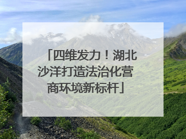 四维发力！湖北沙洋打造法治化营商环境新标杆