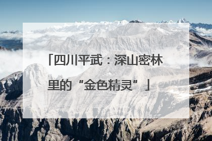 四川平武：深山密林里的“金色精灵”