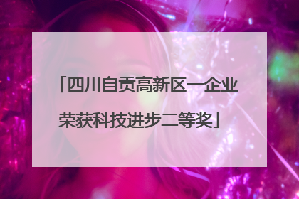 四川自贡高新区一企业荣获科技进步二等奖