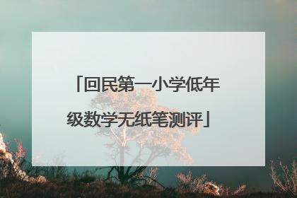 回民第一小学低年级数学无纸笔测评