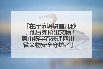在崖墓坍塌前几秒，他冒死抢出文物！眉山杨宇春获评四川省文物安全守护者