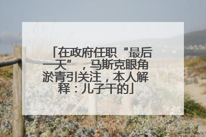 在政府任职“最后一天”，马斯克眼角淤青引关注，本人解释：儿子干的