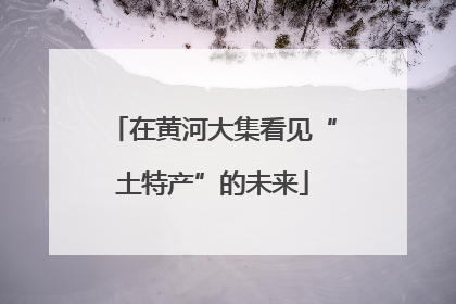 在黄河大集看见“土特产”的未来