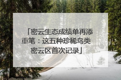 密云生态成绩单再添重笔：这五种珍稀鸟类密云区首次记录