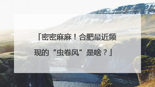 密密麻麻！合肥最近频现的“虫卷风”是啥？