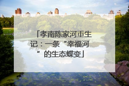 孝南陈家河重生记：一条“幸福河”的生态蝶变