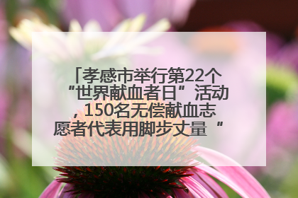 孝感市举行第22个“世界献血者日”活动，150名无偿献血志愿者代表用脚步丈量“中华孝爱第一山”