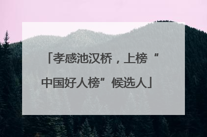 孝感池汉桥，上榜“中国好人榜”候选人
