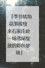 季节转角花事接续 来石家庄赴一场鸢尾绽放的彩色梦境