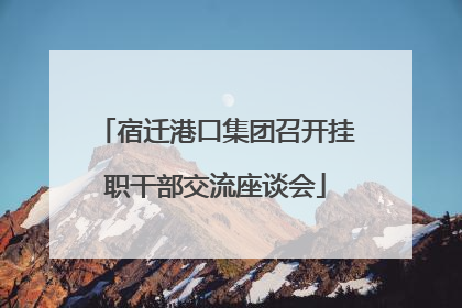宿迁港口集团召开挂职干部交流座谈会