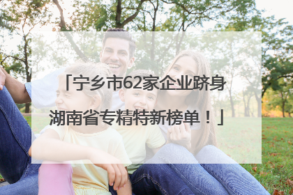宁乡市62家企业跻身湖南省专精特新榜单！