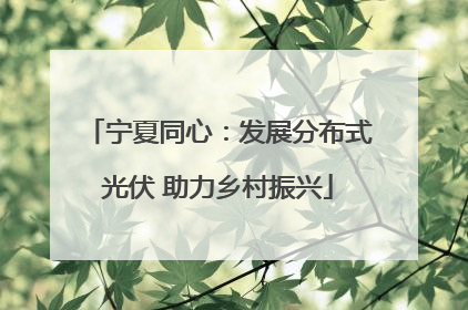 宁夏同心：发展分布式光伏 助力乡村振兴