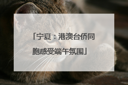 宁夏：港澳台侨同胞感受端午氛围