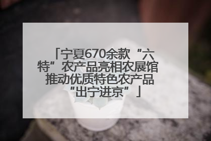 宁夏670余款“六特”农产品亮相农展馆 推动优质特色农产品“出宁进京”