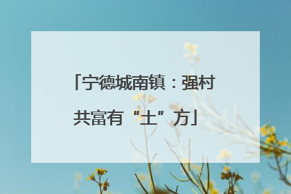 宁德城南镇：强村共富有“土”方