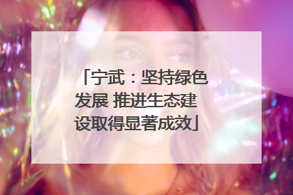 宁武：坚持绿色发展 推进生态建设取得显著成效
