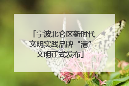 宁波北仑区新时代文明实践品牌“港”文明正式发布