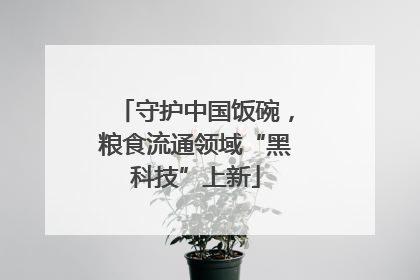 守护中国饭碗，粮食流通领域“黑科技”上新