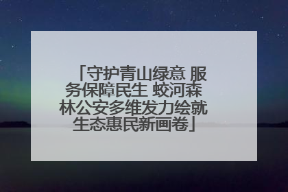 守护青山绿意 服务保障民生 蛟河森林公安多维发力绘就生态惠民新画卷