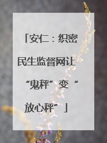 安仁：织密民生监督网让“鬼秤”变“放心秤”