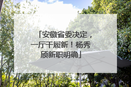 安徽省委决定，一厅干履新！杨秀颀新职明确