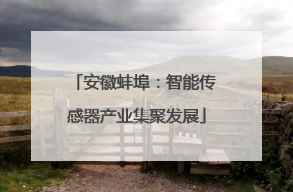 安徽蚌埠：智能传感器产业集聚发展