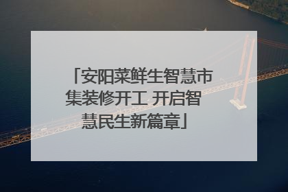 安阳菜鲜生智慧市集装修开工 开启智慧民生新篇章