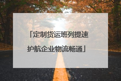 定制货运班列提速 护航企业物流畅通