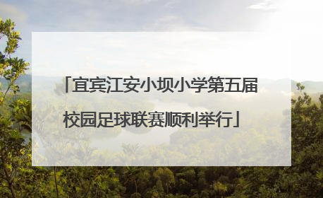 宜宾江安小坝小学第五届校园足球联赛顺利举行