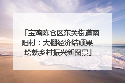 宝鸡陈仓区东关街道南阳村：大棚经济结硕果 绘就乡村振兴新图景