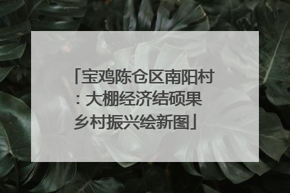 宝鸡陈仓区南阳村：大棚经济结硕果 乡村振兴绘新图