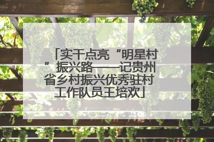 实干点亮“明星村”振兴路——记贵州省乡村振兴优秀驻村工作队员王培欢