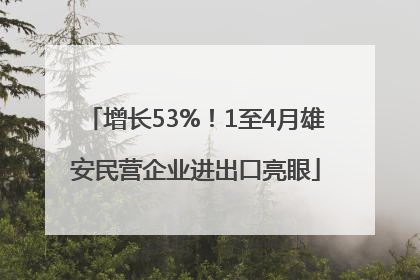 增长53%！1至4月雄安民营企业进出口亮眼