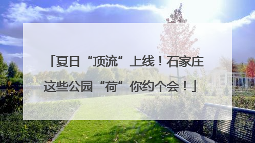 夏日“顶流”上线！石家庄这些公园“荷”你约个会！
