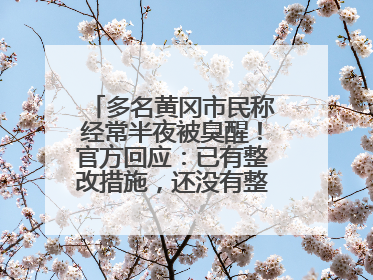 多名黄冈市民称经常半夜被臭醒！官方回应：已有整改措施，还没有整改情况