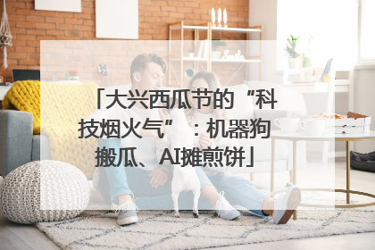 大兴西瓜节的“科技烟火气”：机器狗搬瓜、AI摊煎饼