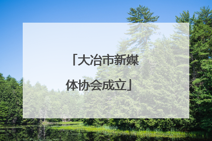 大冶市新媒体协会成立